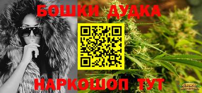 СК Новокубанск