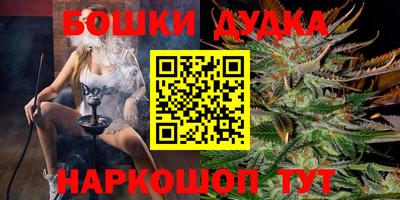 СК Новокубанск