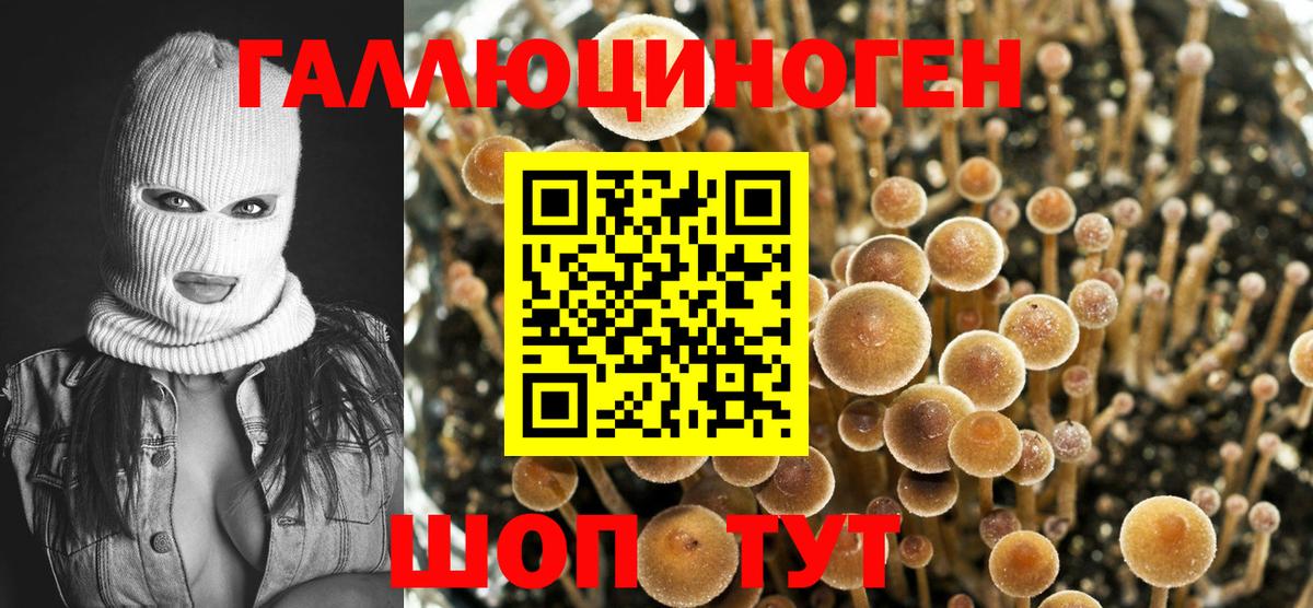 Псилоцибиновые грибы ЛСД  Вход с VPN  Химки  Галлюциногенные грибы MAGIC MUSHROOMS 
