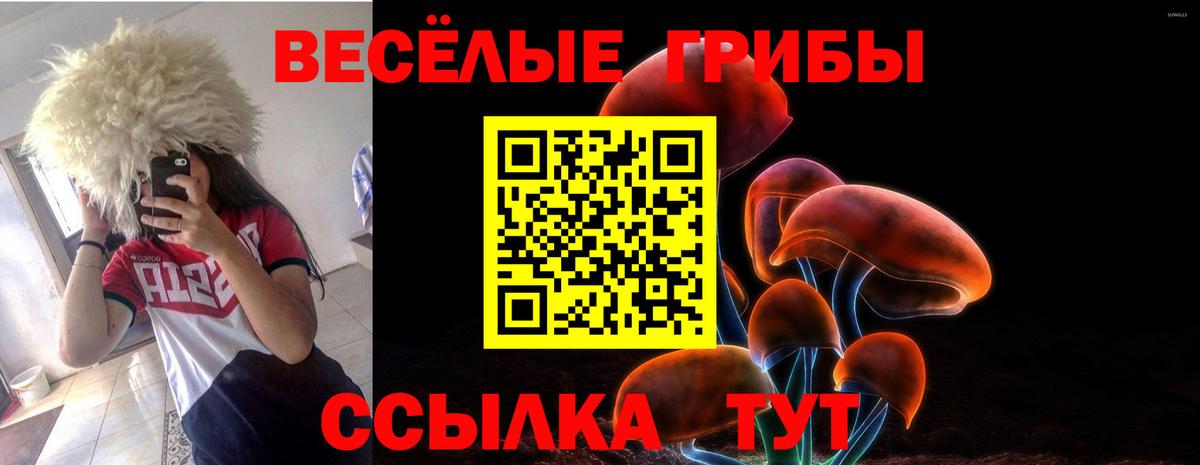 Псилоцибиновые грибы прущие грибы Химки